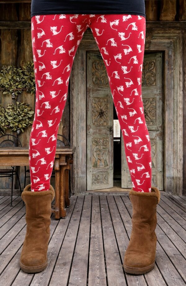 Catz speelse kattenlegging